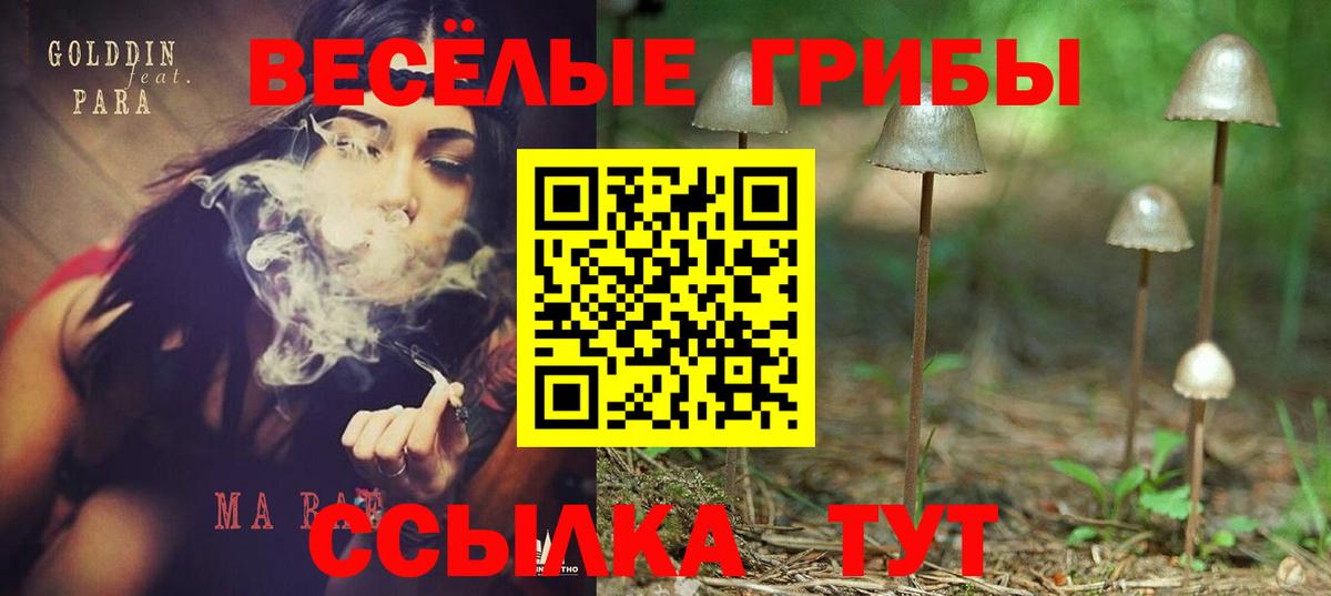 Галлюциногенные грибы мухоморы  Вход с VPN  Чистополь 