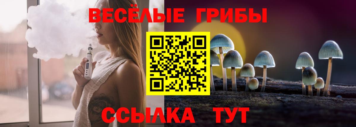 Псилоцибиновые грибы GOLDEN TEACHER Чистополь